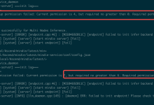 【昇腾】MindIE服务器推理,config.json权限问题解决-网硕互联帮助中心