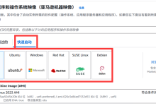 通过AWS Console连接服务器,简化运维过程-网硕互联帮助中心