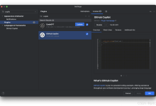 IntelliJ IDEA 接入 AI 编程助手(Copilot、DeepSeek、GPT-4o Mini)-网硕互联帮助中心