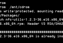 Red Hat6.4环境下搭建NFS服务器-网硕互联帮助中心