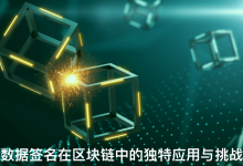 数据签名在区块链中的独特应用与挑战-网硕互联帮助中心