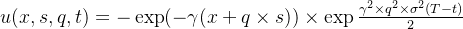 u(x,s,q,t)=-\\exp(-\\gamma(x+q\\times s))\\times\\exp\\frac{\\gamma^2\\times q^2\\times\\sigma^2(T-t)}{2}