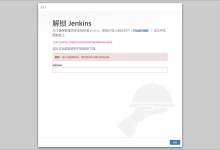 服务器---centos上安装docker并使用docker配置jenkins-网硕互联帮助中心