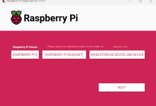 运行 DeepSeek R1 的 Raspberry Pi AI 服务器 | Raspberry Pi AI Server Running DeepSeek R1-网硕互联帮助中心