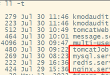 【Linux】Linux使用systemd设置服务开机自动-网硕互联帮助中心