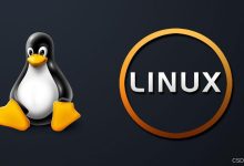 Linux系统:服务器常见服务默认IP端口合集-网硕互联帮助中心