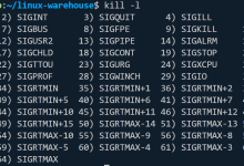 【Linux笔记】——进程信号的产生-网硕互联帮助中心