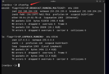 如何使用 Xterminal远程操控服务器笔记(一)(Linux)-网硕互联帮助中心