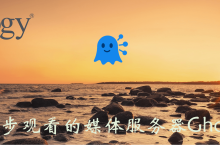 支持同步观看的媒体服务器GhostHub-网硕互联帮助中心