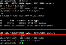 服务器需要新加了一块硬盘，记录下扩容过程-网硕互联帮助中心