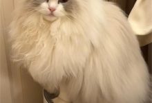 微服务项目->在线oj系统(Java版 - 4)-网硕互联帮助中心