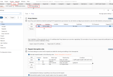 APP&小程序抓包和下游代理-网硕互联帮助中心