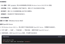 Python Paramiko上传文件到win ser2022服务器和反向-网硕互联帮助中心