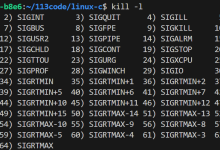 Linux笔记---信号(上)-网硕互联帮助中心