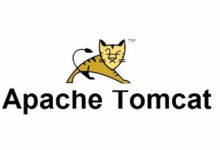 Tomcat:一个强大的Java Web应用服务器详解-网硕互联帮助中心