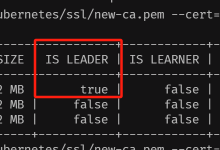 Kubernetes etcd 故障恢复(1)-网硕互联帮助中心