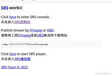SRS 视频服务器未授权访问漏洞-网硕互联帮助中心