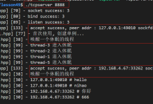 Linux 的 TCP 网络编程 -- 回显服务器,翻译服务器-网硕互联帮助中心