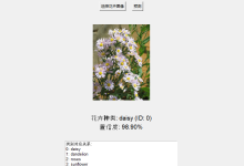 深度学习模型部署:使用Flask将图像分类(5类)模型部署在服务器上,然后在本地GUI调用。(全网模型部署项目步骤详解:从模型训练到部署再到调用)-网硕互联帮助中心