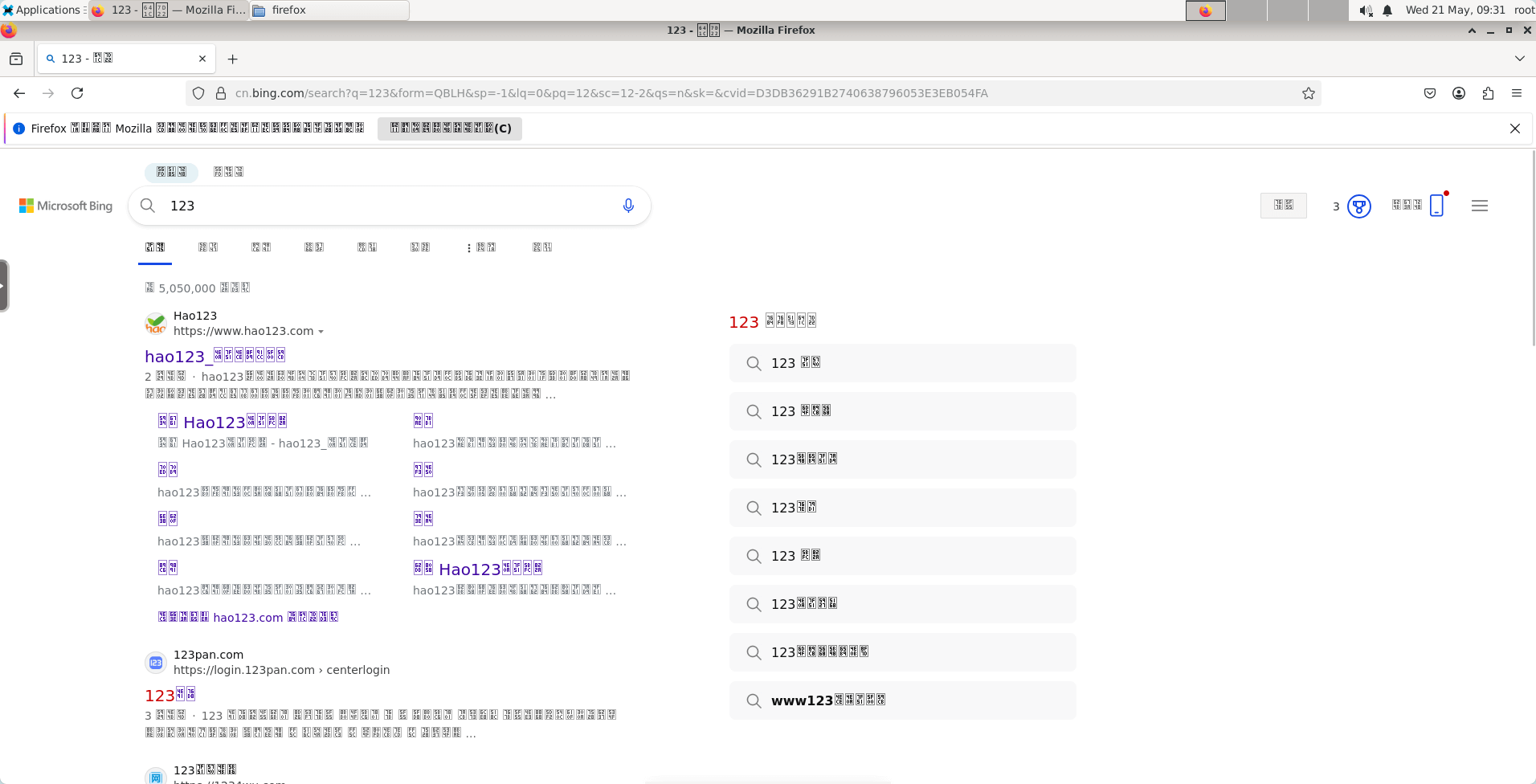 image-20250521093108656