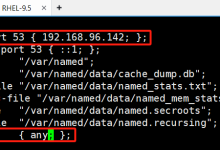 Web 服务、 Nfs 服务器以及 Dns 服务器综合实验-网硕互联帮助中心