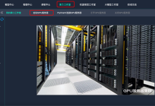 英伟达4090D GPU 服务器上部署Llama3 实战(本文提供项目代码、英伟达4090D显卡服务器完整环境)-网硕互联帮助中心