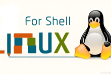 使用 Shell 脚本实现 Spring Boot 项目自动化部署到 Docker(Ubuntu 服务器)-网硕互联帮助中心