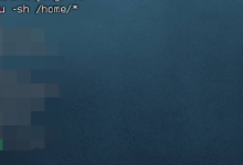 服务器磁盘高占用排查-网硕互联帮助中心