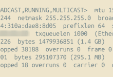 Ubuntu20.04服务器开启路由转发让局域网内其他电脑通过该服务器连接外网-网硕互联帮助中心