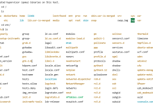 YDOOK-云计算-ubuntu24.04-安装-ElasticSearch-直接服务器安装-网硕互联帮助中心