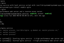 安装和配置 Nginx 和 Mysql —— 一步一步配置 Ubuntu Server 的 NodeJS 服务器详细实录6-网硕互联帮助中心