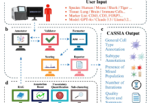 单细胞注释前沿:CASSIA——无参考、可解释、自动化细胞注释的大语言模型-网硕互联帮助中心