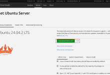 PVE 虚拟机安装 Ubuntu Server V24 系统 —— 一步一步安装配置基于 Ubuntu Server 的 NodeJS 服务器详细实录1-网硕互联帮助中心
