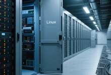 Linux 系统、代码与服务器进阶知识深度解析-网硕互联帮助中心