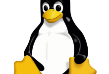 【Linux指南】文件系统基础操作与路径管理-网硕互联帮助中心