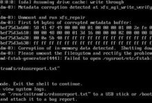 服务器断电重启,操作进入紧急救援模式,进行系统修复(银河麒麟V10)-网硕互联帮助中心
