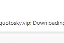 VSCode连服务器一直处于Downloading-网硕互联帮助中心