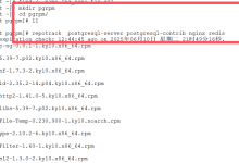 （带图文）内网麒麟v10服务器Centos8安装pg数据库、redis、nginx-网硕互联帮助中心