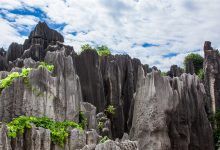 List ToMap优化优化再优化到极致-网硕互联帮助中心