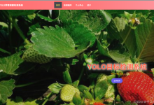 基于Django+Vue3的草莓病害检测系统设计与实现,Web前后端分离,YOLOv8 Web目标检测系统-网硕互联帮助中心