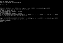 戴尔 17G 服务器 E610 OCP千兆网卡驱动安装-网硕互联帮助中心