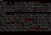 linux 服务器 tomcat9.0.86版本升级到9.0.99操作方式 实战操作-网硕互联帮助中心