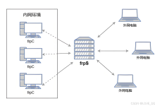 在Linux上搭建FRP服务器及Docker部署FRP实现内网穿透方案一(FRP直接HTTPS)-网硕互联帮助中心