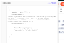 Chrome 插件,让你服务器的项目与本地联调 so easy!-网硕互联帮助中心