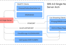 SRS(Simple Realtime Server) 开源直播/双录服务器-网硕互联帮助中心