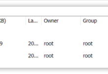 初识 docker [下] 项目部署-网硕互联帮助中心