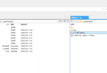 前后端分离(java) 和 Nginx在服务器上的完整部署方案(redis、minio)-网硕互联帮助中心