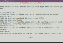 Ubunt20.04搭建GitLab服务器,并借助cpolar实现公网访问-网硕互联帮助中心