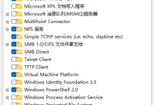 Window 中用 Hyper-V 中 Win11 虚拟机安装 Docker 全流程(嵌套虚拟化-避坑指南)-网硕互联帮助中心