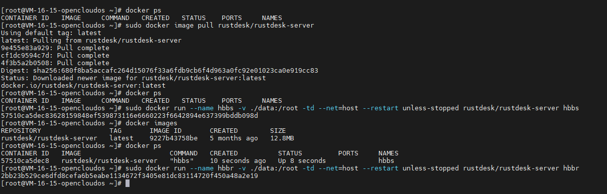 docker拉去运行